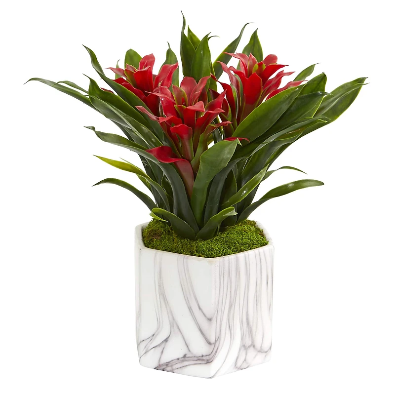 11" Bromeliad Plant in Marble Finished Vase