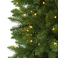 7ft. Pre-Lit Green Mountain Pine Artificial Christmas Tree, Clear LED Lights