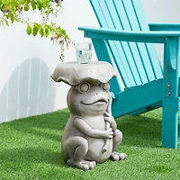 Glitzhome® 19" Frog & Lotus Faux Concrete Garden Stool