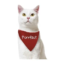 Pet Bandana by ArtMinds™
