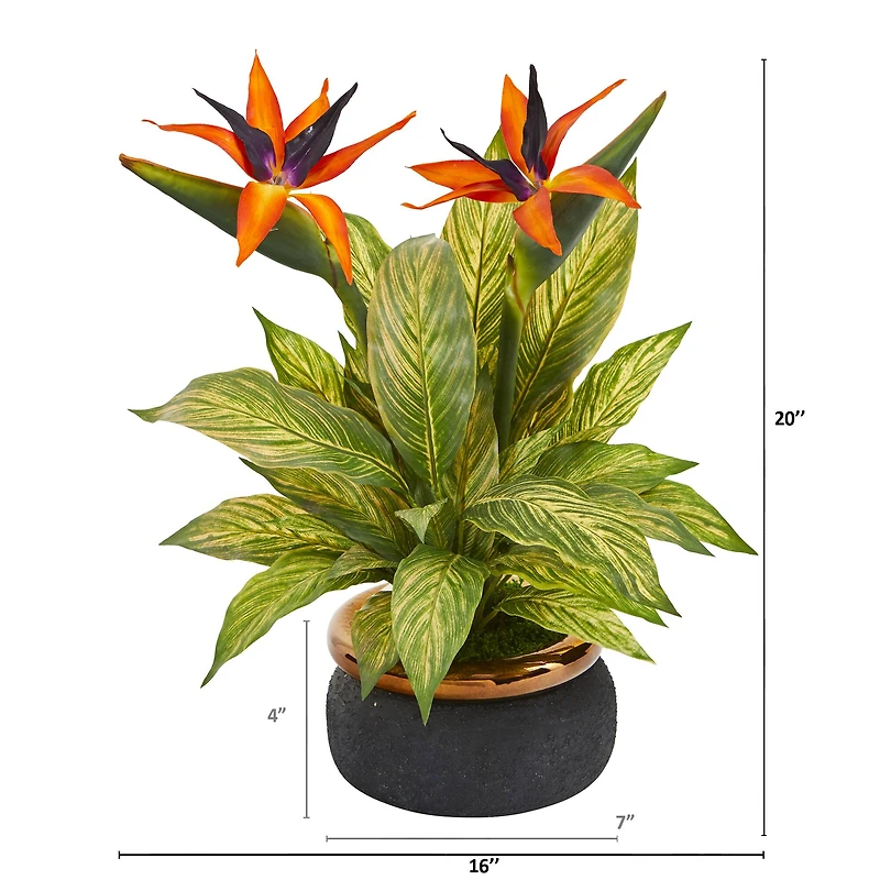 20" Bird of Paradise and Musa Leaf Arrangement in Stoneware Bowl