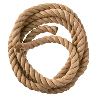 12 Pack: 7ft. Natural Jute Rope by Ashland®