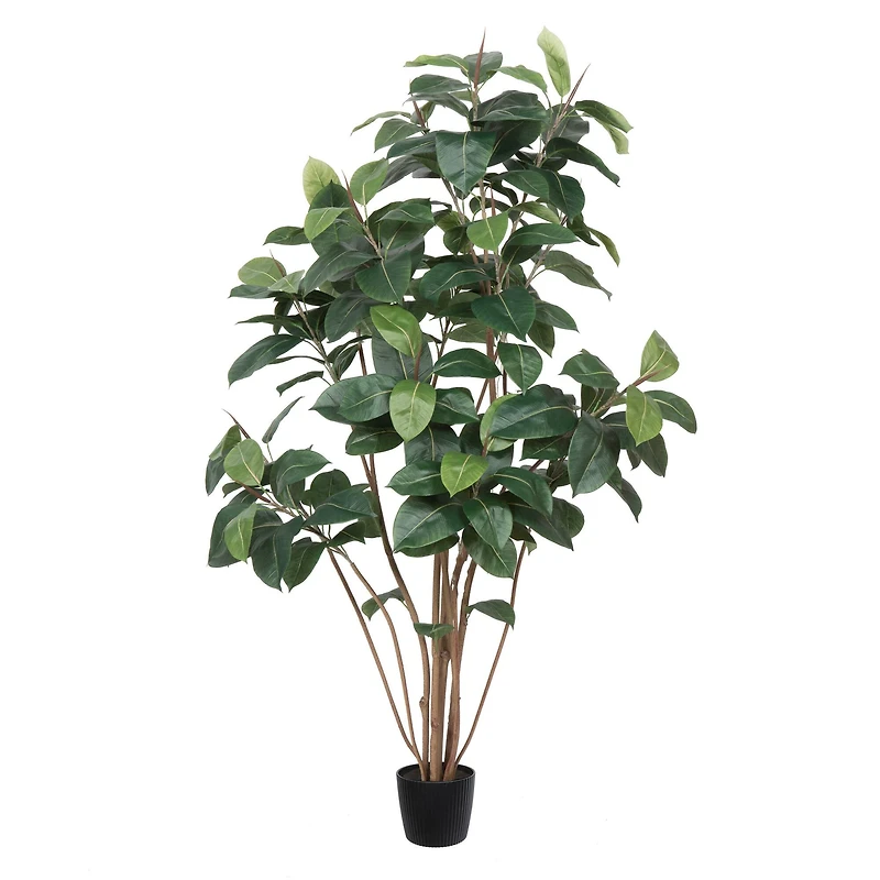 6ft. Potted Artificial Green Rubber Tree