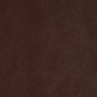 Richloom Tampa Saddle Vinyl Upholstery Fabric