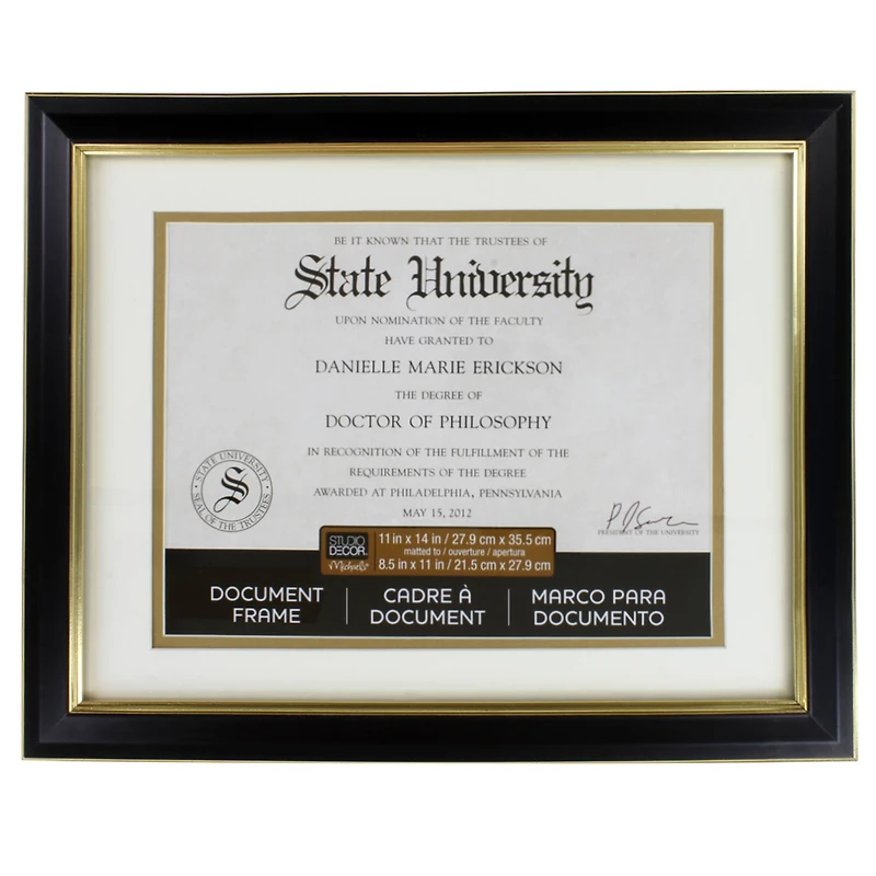 8 Pack: 8.5" x 11" Black & Gold Document Frame with Double Mat by Studio Décor®