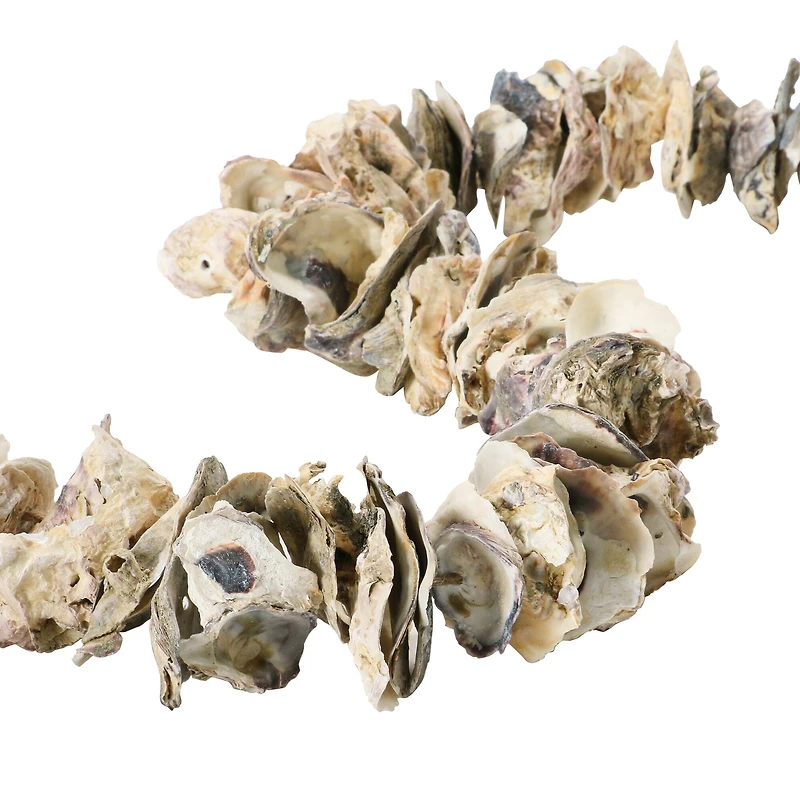 Hello Honey® 4ft. Oyster Shell Garland with Raffia Tassels