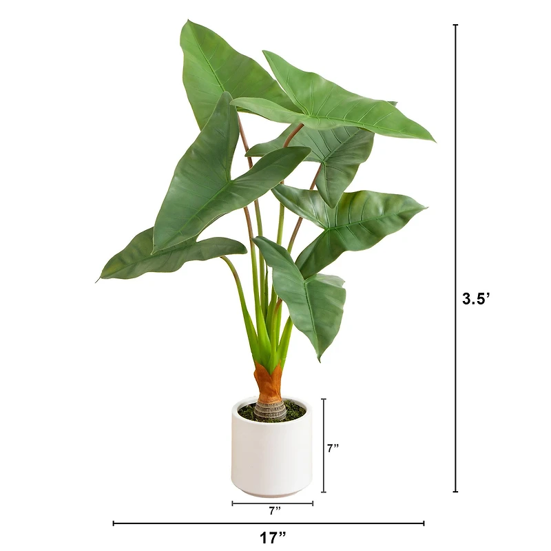 3.5ft. Arrowhead Philodendron in White Decorative Planter