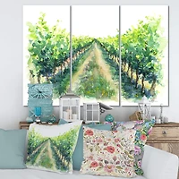 Designart - Rural Scene Vineyard Road
