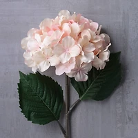 12 Pack: Peach Pink Hydrangea Stem by Ashland®