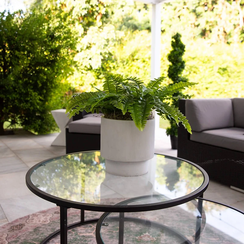 19" UV-Resistant Artificial Boston Ferns, 2ct.