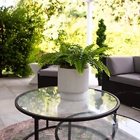 19" UV-Resistant Artificial Boston Ferns, 2ct.