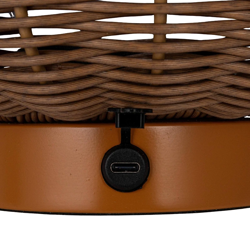 Hello Honey® 14.25" Natural Plastic & Woven Rattan LED Lamp, 2ct.