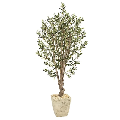 5ft. Olive Tree in Country White Planter