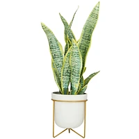 The Novogratz 25" Green Snake Faux Foliage Artificial Plant with White Porcelain Pot and Gold Stand