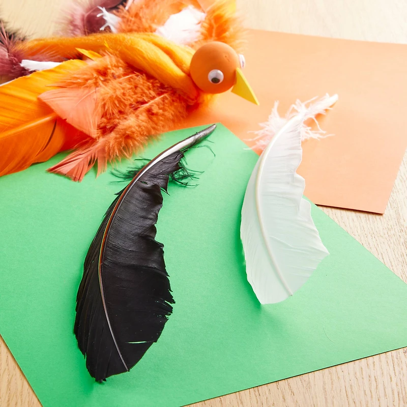 Black & White Quill Feather Mix by Creatology™