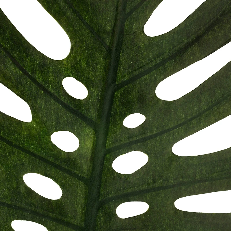 6 Pack: Green Monstera Leaf Stem by Ashland®