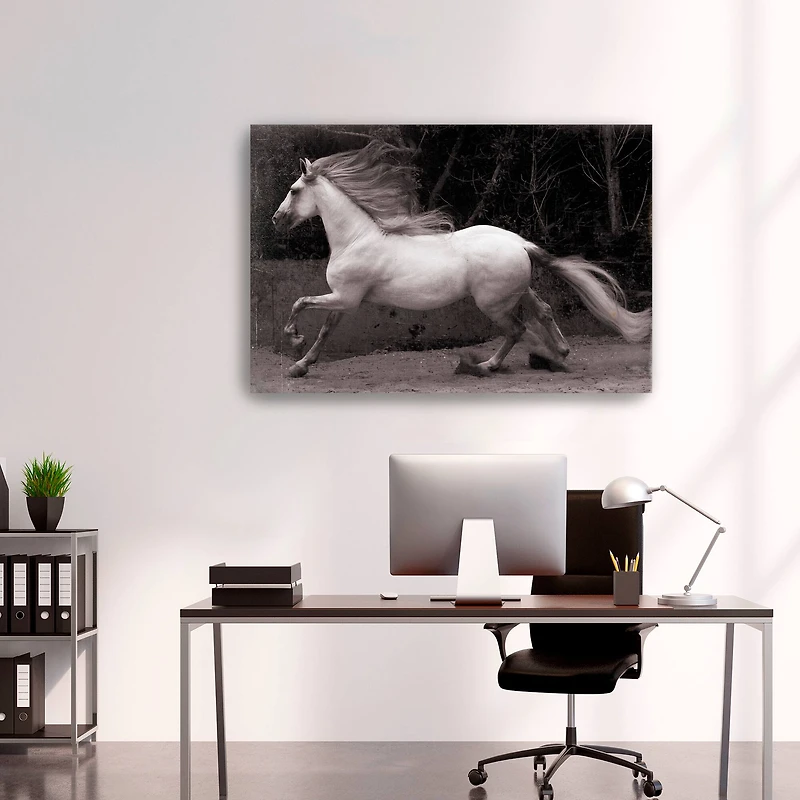 Lumaprints Forest Adventure Giclée Canvas