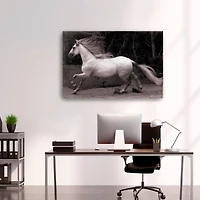 Lumaprints Forest Adventure Giclée Canvas