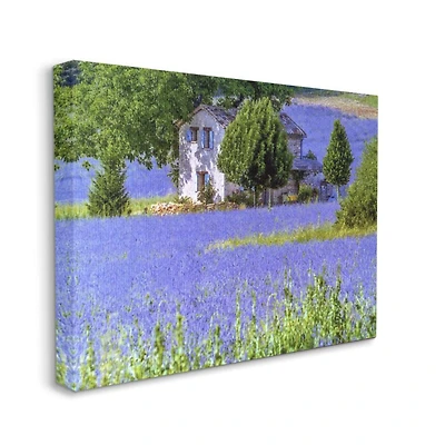 Stupell Industries Lavender Field House Landscape Photograph Canvas Wall Art
