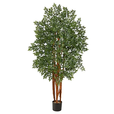5ft. Aralia Artificial Tree