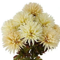 19.5" Cream Spider Mum Bush by Ashland®