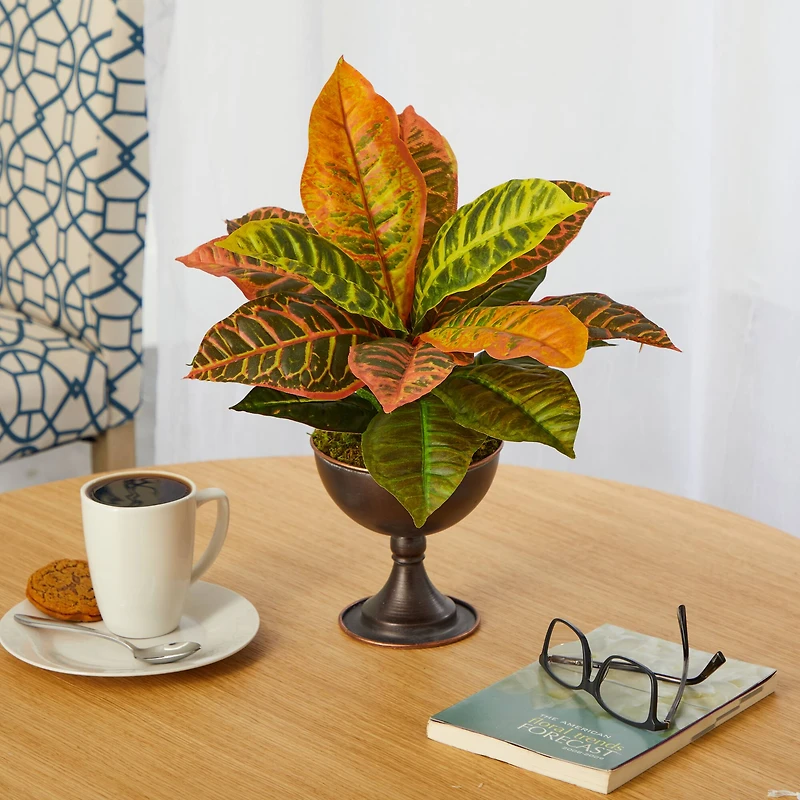 14" Garden Croton Plant in Metal Chalice