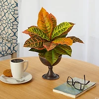 14" Garden Croton Plant in Metal Chalice