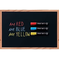 Sharpie® Primary Medium Point Wet Erase Chalk Markers
