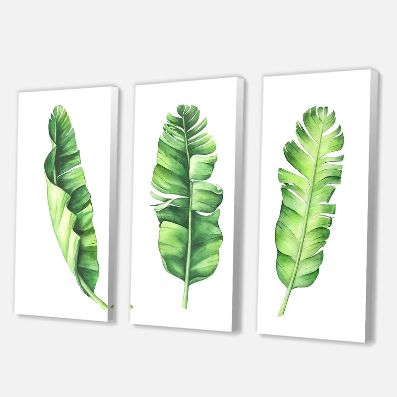 Designart - Tropical Banana Leaves Set