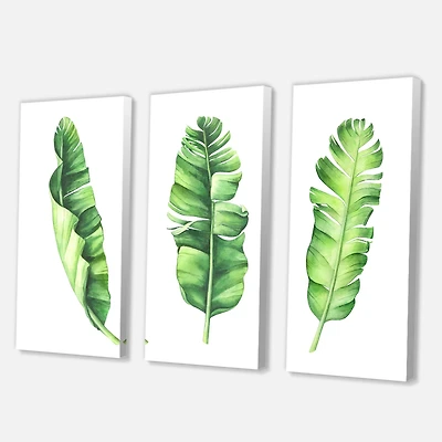 Designart - Tropical Banana Leaves Set