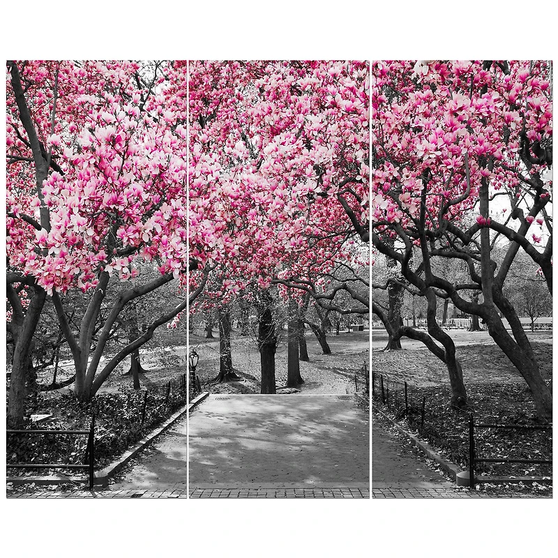 Designart Photographic Floral Cherry Blossoms Landscapes On Wrapped Canvas Set