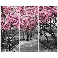 Designart Photographic Floral Cherry Blossoms Landscapes On Wrapped Canvas Set