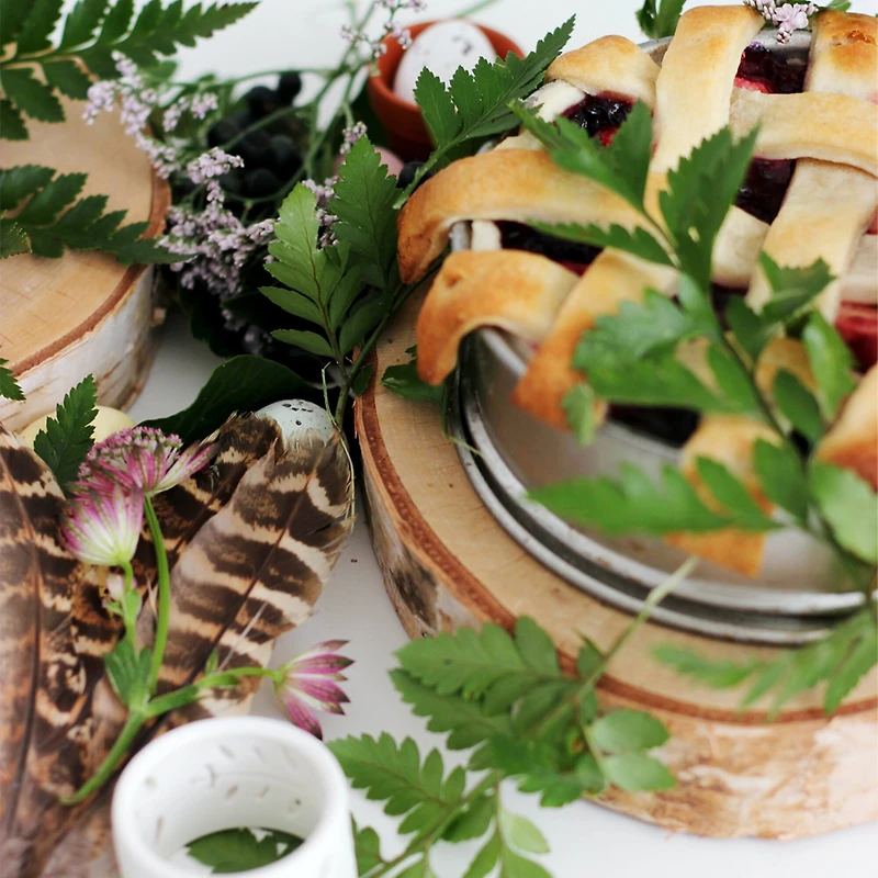 Wilson® Enterprises 9" Thick Birch Rounds, 4ct.