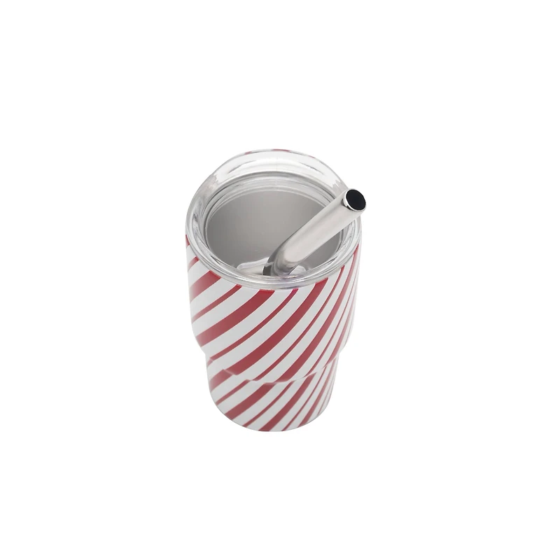 Mini Stainless Steel Insulated Tumbler by Ashland