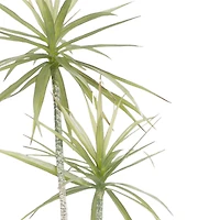 6ft. Yucca Faux Plant in Woven Basket by Ashland®