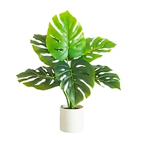 20in. Artificial Swiss Monstera Plant