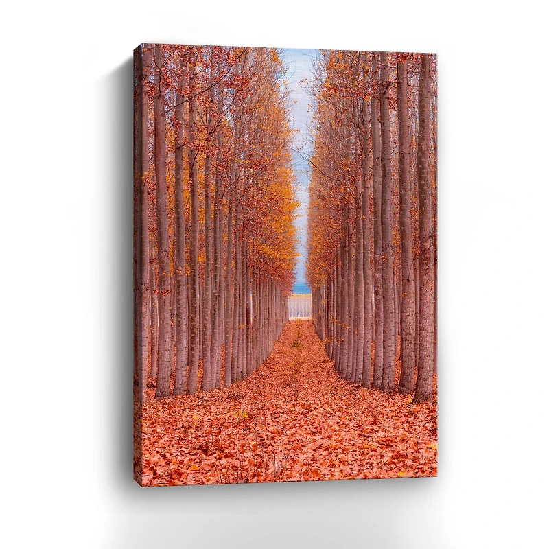 Lumaprints Tree Farm Giclée Canvas
