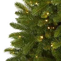 5ft. Pre-Lit Sierra Spruce Artificial Christmas Tree, Clear LED Lights
