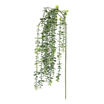 25" Hanging Eucalyptus Stem by Ashland®