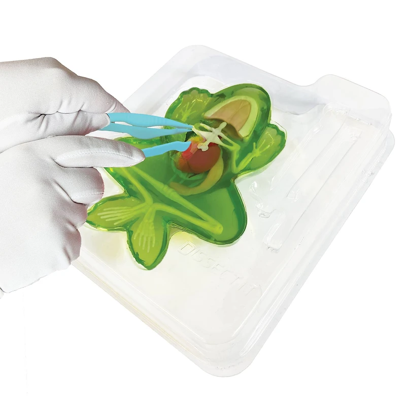 Dissect It® Frog Lab Synthetick Dissection Kit
