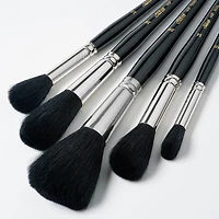 Silver Brush Limited Silver Mop™ 5 Piece Round Black Brush Set