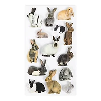 Rabbit Stickers by Recollections™