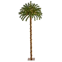 5ft. Pre-Lit Palm Artificial Christmas Tree, Warm White LED Lights