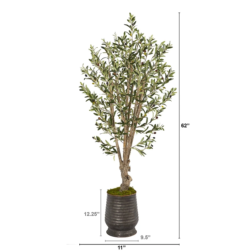 5ft. Olive Tree in Ribbed Metal Planter