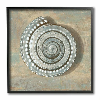 Stupell Industries Spiral Shell Beach Objects Design Black Framed Wall Art