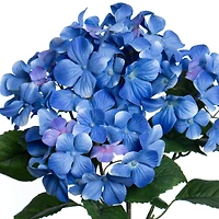 17.5" Hydrangea Water Resistant Bush by Ashland