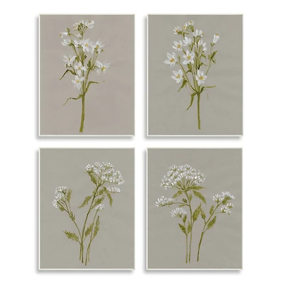 Stupell Industries Vintage White Wild Flower Study Soft Petals,10" x 15"