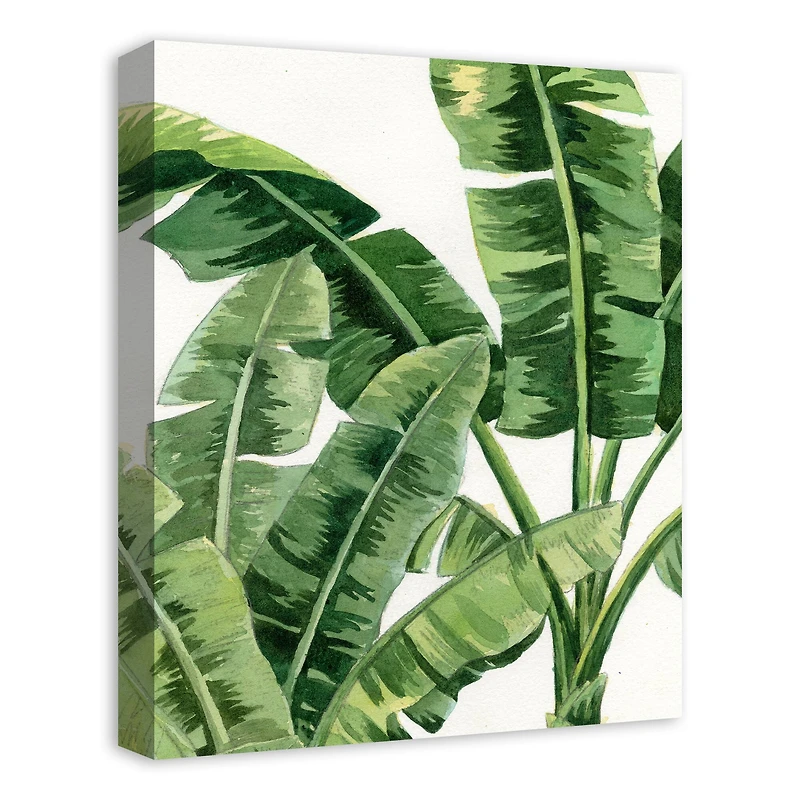 Palm Fronds 16" x 20" Canvas Wall Art