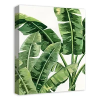Palm Fronds 16" x 20" Canvas Wall Art