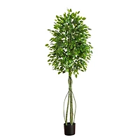 6.5ft. UV Resistant Artificial Ficus Tree (Indoor/Outdoor)